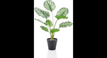 Emerald - Kunstplant in pot Calathea Orbifolia 45cm - Kunstplant voor binnen