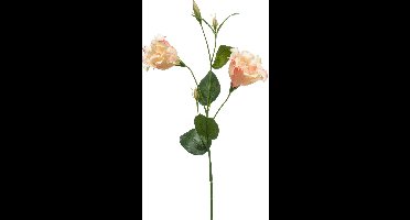 Emerald - Kunstbloem Eustoma 60cm peach - Kunstplant voor binnen