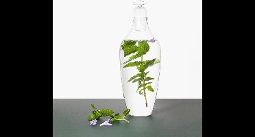 Vij5 - Tap Water Carafe in glas - glazen waterkaraf - Nederlands ontwerp door Lotte de Raadt - Borosilicaatglas / laboratorium glas