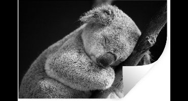 Muurstickers - Sticker Folie - Slapende koala op zwarte achtergrond in zwart-wit - 30x20 cm - Plakfolie - Muurstickers Kinderkamer - Zelfklevend Behang - Zelfklevend behangpapier - Stickerfolie