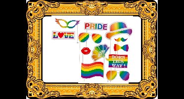 Foto prop set met frame - goud - met gay pride regenboog thema - 13-delig - photo booth accessoires
