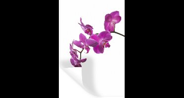 Muurstickers - Sticker Folie - Orchidee tegen witte achtergrond - 20x30 cm - Plakfolie - Muurstickers Kinderkamer - Zelfklevend Behang - Zelfklevend behangpapier - Stickerfolie