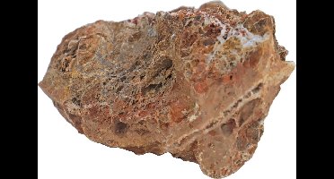 Boon Aqua Deco steen maple leaf rock, S - 0,5/1,2 kg