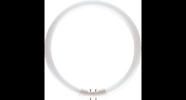 Philips MASTER TL5C Circulair 22W - 830 Warm Wit | 22cm