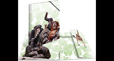 Elastomappen A3 PP Apenbende