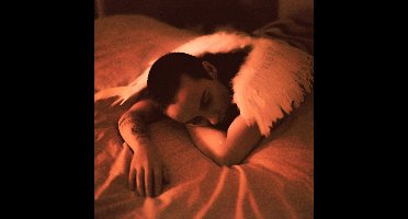 Midnight Butterflies