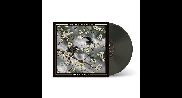 Phosphorescent - Revelator (Black Ice Vinyl)