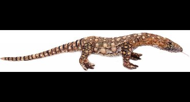 Pia Soft Toys Knuffeldier Varaan hagedis - zachte pluche stof - schutkleuren - kwaliteit knuffels - 90 cm - reptielen