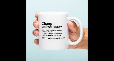 Mok Chaos Coördinator van Ditverzinjeniet.nl