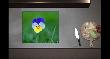 Inductieplaat Beschermer - Blauw met Gele Tuinviool in Grasveld - Bloemen - 59x52 cm - 2 mm Dik - Inductie Beschermer - Bescherming Inductiekookplaat - Kookplaat Beschermer van Zwart Vinyl
