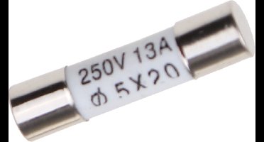 UNIVERSEEL - ZEKERING MICROWAVE 5X20MM 13A 10pcs -