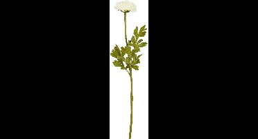 MICA DECORATIONS RANUNCULUS CREME - L56CM