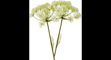 Emerald Kunstbloem Berenklauw - 2x - 78 cm - wit - losse tak - kunst zijdebloem - Heracleum - decoratie