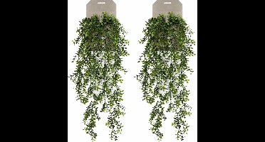 Emerald kunstplant/hangplant - 2x - Buxus - groen - 75 cm lang - Levensechte kunstplanten