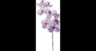 Emerald Kunstbloem Orchidee Vanda - 77 cm - paars/lila - losse tak - kunst zijdebloem
