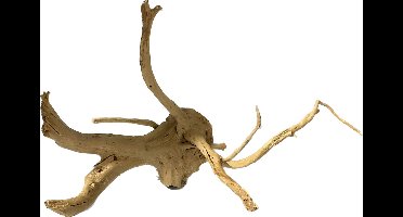 HS Aqua Spider Wood L - 41/50 CM - Nummer 6