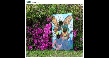 Iron & Wine - Lori (12" Single) (Coloured Vinyl) (Limited Edition)