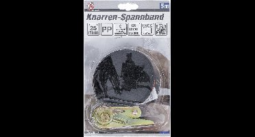 BGS Spanband met ratel, 5 m x 25 mm