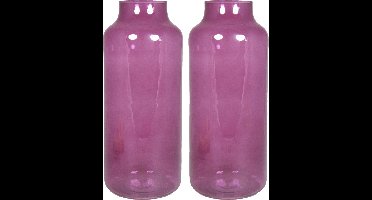 Floran Bloemenvaas Milan - 2x - transparant paars glas - D15 x H35 cm - melkbus vaas met smalle hals
