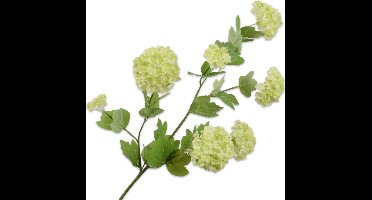 Silk-ka Kunstbloem-Zijden Bloemen Sneeuwbal Tak Groen-Crème 78 cm