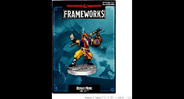 D&D Frameworks Human Monk Male