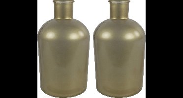 Countryfield bloemen/takken Vaas - 2x Stuks - mat goud glas - fles - D17 x H31 cm