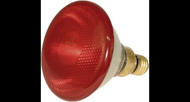 Kerbl Infrarood warmtelamp rood E27 | 100W | 150W | 250W voor opfok en warmtezones 100W