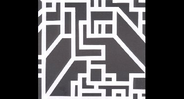 Zomes - Earth Grid (CD)
