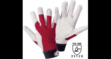 Leipold Doehle 1706-9 Montagehandschoen Geiten nappaleer Maat (handschoen): 9, L EN 388:2016 Cat II 1 paar