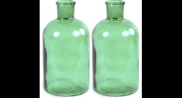 Countryfield Bloemenvaas - 2x stuks - mintgroen - doorzichtig glas - apotheker fles - D17 x H30 cm