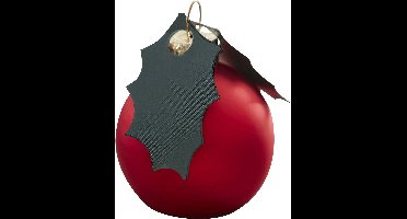 Plaatskaarthouders rode bes - 6 stuks