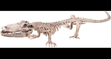 Boland - Krokodillenskelet - Horror - Horror