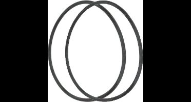 AstralPool O-ring voor deksel Astral Cantabric filter