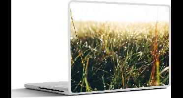 Laptop sticker - 13.3 inch - Grasveld - Pampasgras - Gras - 31x22,5cm - Laptopstickers - Laptop skin - Cover