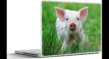 Laptop sticker - 13.3 inch - Varken - Dieren - Big - 31x22,5cm - Laptopstickers - Laptop skin - Cover