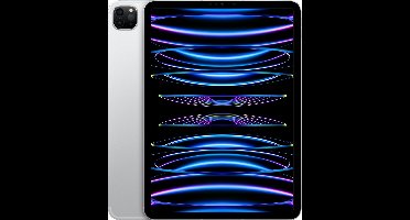 Apple iPad Pro (2022) - 11 inch - WiFi + 5G - 1TB - Zilver - 6e generatie