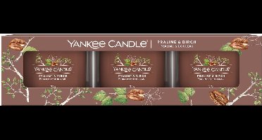 Yankee Candle - Praline & Birch Signature Filled Votive 3-pack