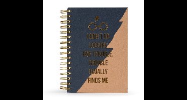 Pyramid International Harry Potter Notitieboek Premium A5 Trouble Usually Finds Me Blauw/Bruin