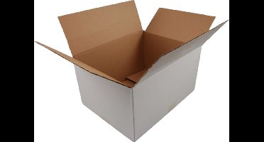 Amerikaanse vouwdoos | golfkarton | 250x180x100mm | enkele golf | wit | 25 stuks