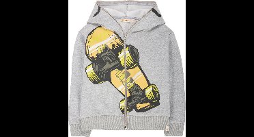 TRUI/ SWEATER MET KAP SKATEBOARD