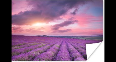 Poster Lavendel - Paars - Wolken - Bloemen - 30x20 cm