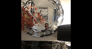 PTMD Twig Plant oranje rode toverhazelaar tak