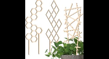 ApexArte® Klimrek Planten - Plantensteunen voor Klimplanten - Wandrek voor Buiten - Hout