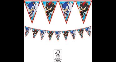 Sonic slingers - Vlaggenlijn - Breng snelheid en plezier naar elk feestje - Kinderfeestje - Verjaardag - Themafeestje