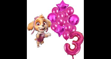 Paw Patrol Skye ballonnen pakket - 61x91cm - Folie Ballon set - Themafeest - Verjaardag - 3 jaar - Ballonnen - Versiering - Helium ballon