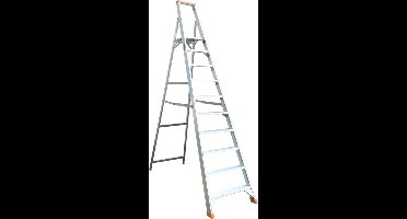Ivana Industrietrap - Enkel - 10 Treden - 2,23m