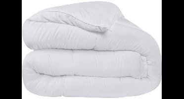 ApexArte® Dekbed 240x220 - 2 Persoons 4 Seizoenen - Wasbaar - Extra Zacht - Wit