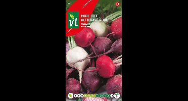 Vierkleurige Rode Biet '4 Couleurs' - Decoratief en Voedzaam