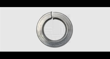 SWG 4009146507974 Veerring Binnendiameter: 10.2 mm M10 DIN 127 RVS A2 50 stuk(s)