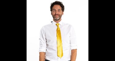 Partychimp Voordeelverpakking 6 pack Stropdas Goud 50 Cm Carnavalskleding Heren - Goud – Polyester – 6 pack